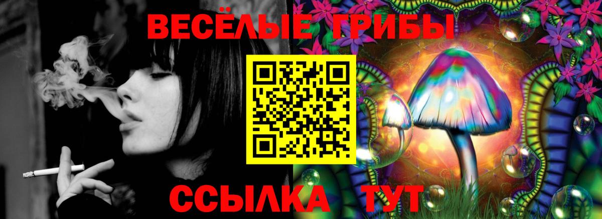Псилоцибиновые грибы Cubensis  Вход с VPN  магазин продажи   Спасск-Дальний 